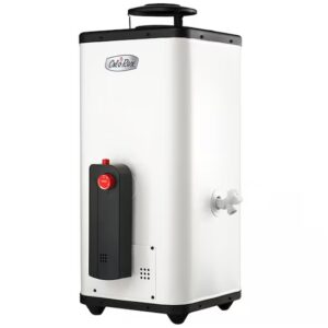 CALOREX Calentador paso calo coxdp-11 gen 2 gas