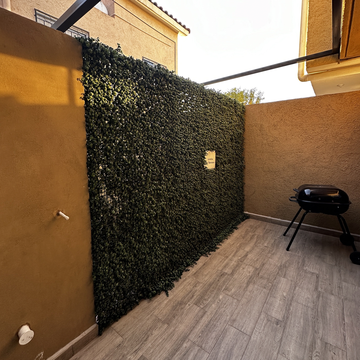 Muro verde 1